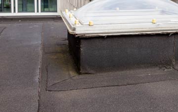 disadvantages of Hope End Green flat roofs